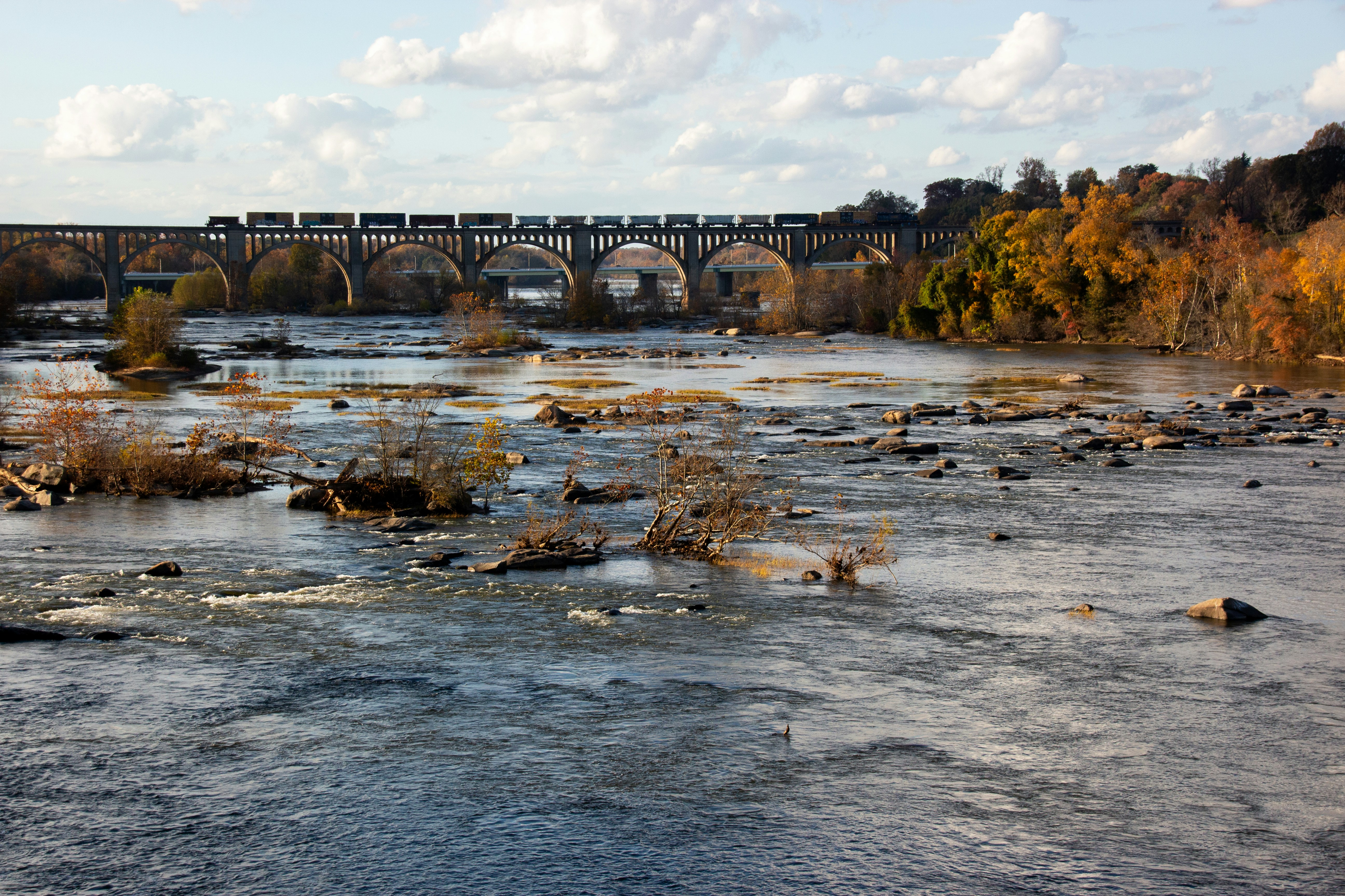 Nice Junk RVA professional service team in Richmond Virginia